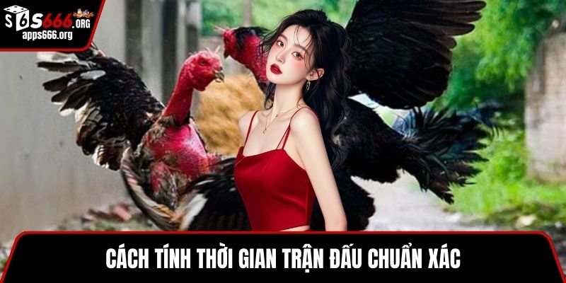 Đá Gà Nòi- Luật Chơi Và Bí Quyết Thắng Lớn Hiệu Quả Cách tính thời gian trận đấu chuẩn xác