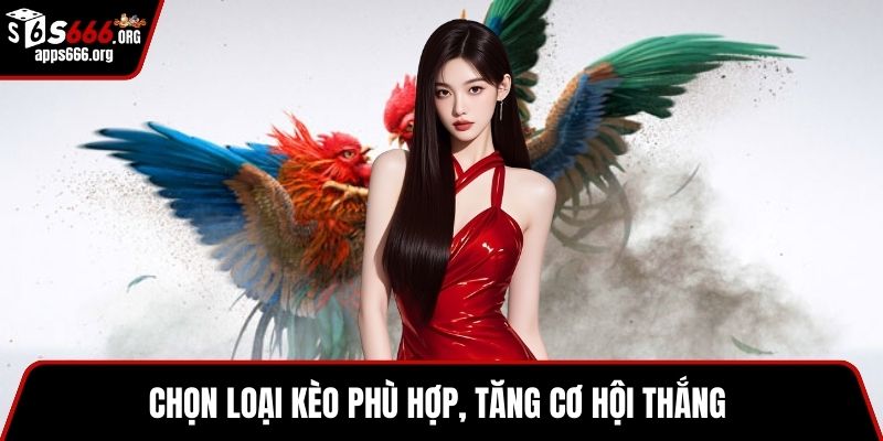 Đá Gà Cựa Sắt- Sức Hút Và Cách Đặt Cược Cực Hiệu Quả Chọn loại kèo phù hợp, tăng cơ hội thắng