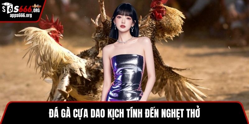 Đá gà cựa dao kịch tính đến nghẹt thở