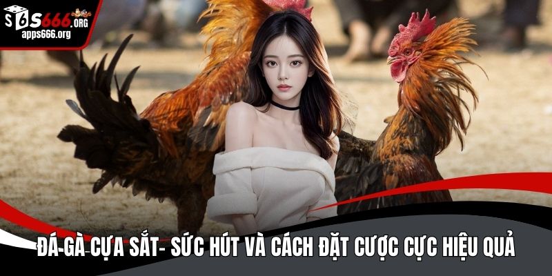 Đá gà cựa sắt