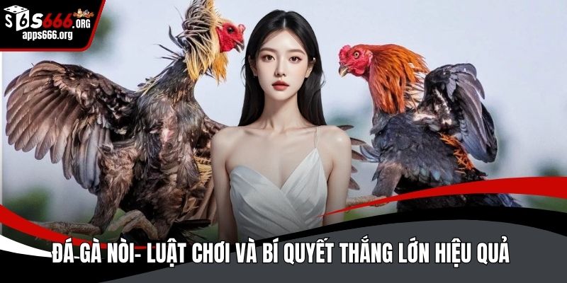 Đá gà nòi