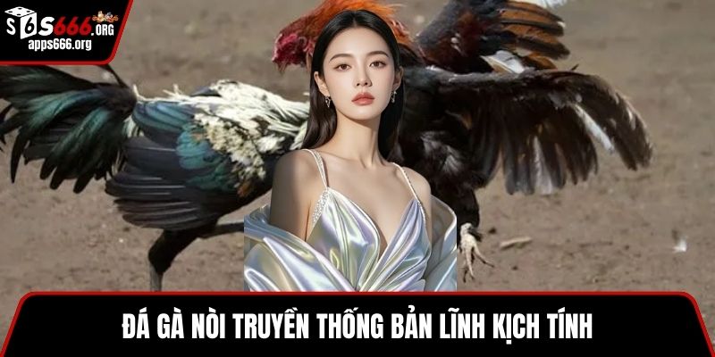 Đá Gà Nòi- Luật Chơi Và Bí Quyết Thắng Lớn Hiệu Quả Đá gà nòi truyền thống bản lĩnh kịch tính