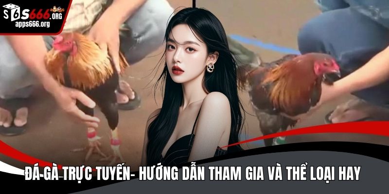Đá gà trực tuyến