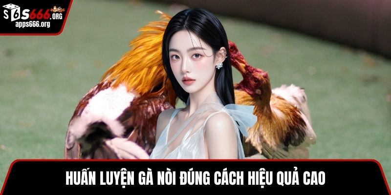 Đá Gà Nòi- Luật Chơi Và Bí Quyết Thắng Lớn Hiệu Quả Huấn luyện gà nòi đúng cách hiệu quả cao