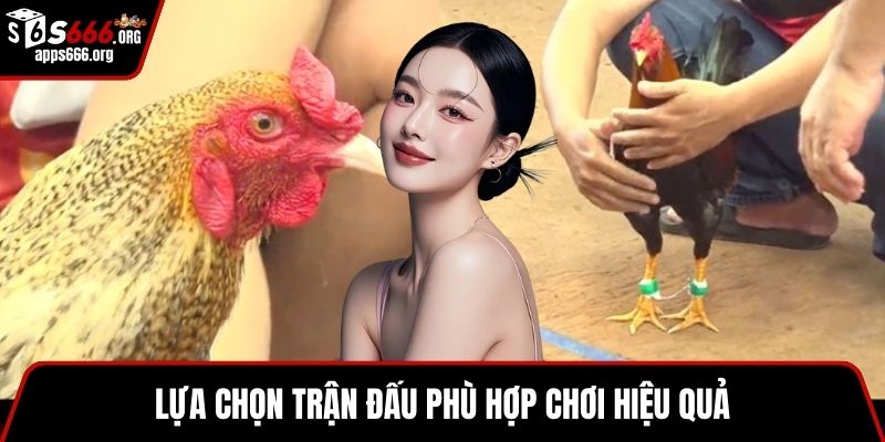 Đá Gà Trực Tuyến- Hướng Dẫn Tham Gia Và Thể Loại Hay Lựa chọn trận đấu phù hợp chơi hiệu quả